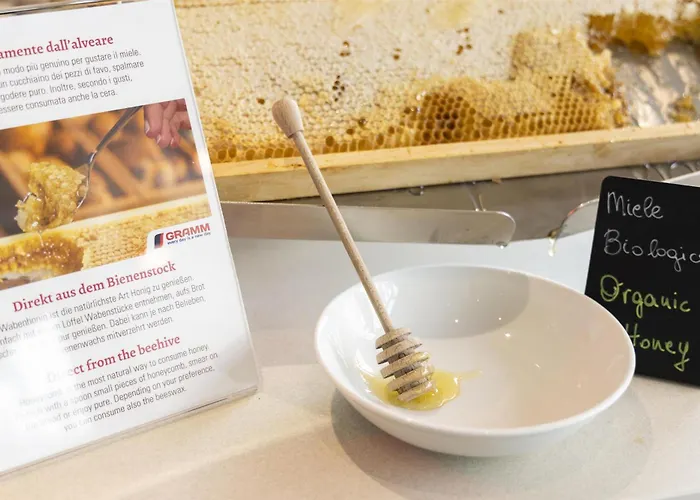 酒店 贝斯特韦斯特卢克索酒店